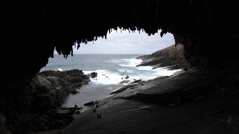 Kangaroo Island In A Day Tour From Adelaide - Australia Accommodation 20