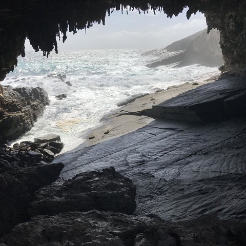 Kangaroo Island In A Day Tour From Adelaide - Australia Accommodation 5