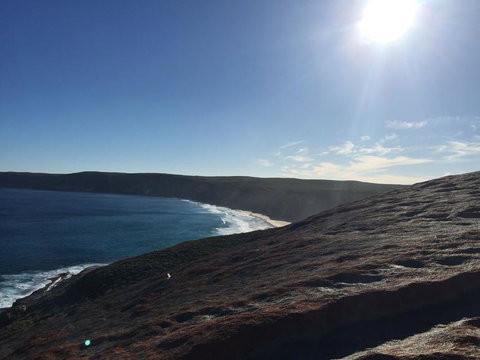 Kangaroo Island In A Day Tour From Adelaide - Australia Accommodation 17