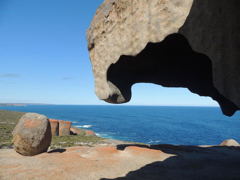 Kangaroo Island In A Day Tour From Adelaide - Australia Accommodation 13