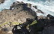 Kangaroo Island In A Day Tour From Adelaide - thumb 3