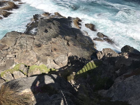 Kangaroo Island In A Day Tour From Adelaide - Australia Accommodation 3