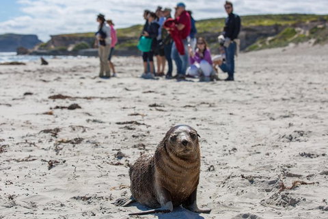 Kangaroo Island In A Day Tour From Adelaide - Australia Accommodation 1