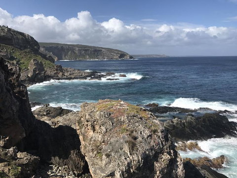 Kangaroo Island In A Day Tour From Adelaide - Australia Accommodation 4