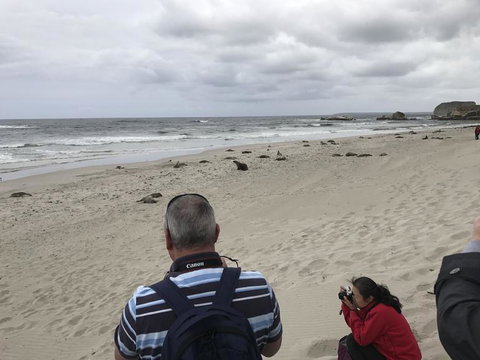 Kangaroo Island In A Day Tour From Adelaide - Australia Accommodation 10