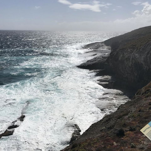 Kangaroo Island In A Day Tour From Adelaide - Australia Accommodation 6