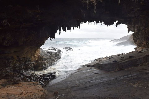 Kangaroo Island In A Day Tour From Adelaide - Australia Accommodation 18