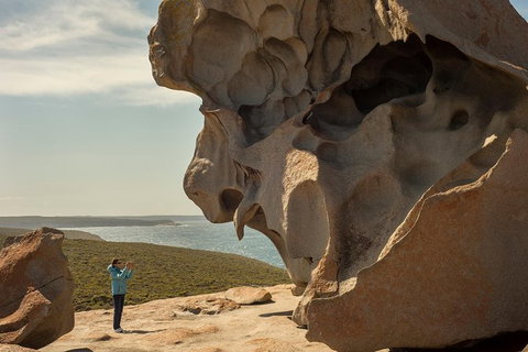Kangaroo Island In A Day Tour From Adelaide - Australia Accommodation 30