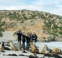 Small-Group Kangaroo Island 4WD Tour from Adelaide - Australia Accommodation