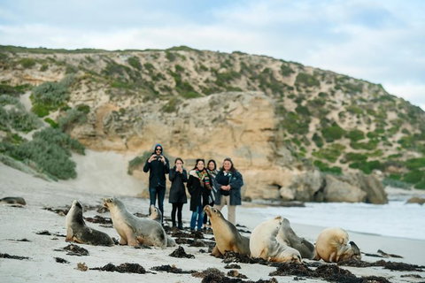 Small-Group Kangaroo Island 4WD Tour From Adelaide - Australia Accommodation 0