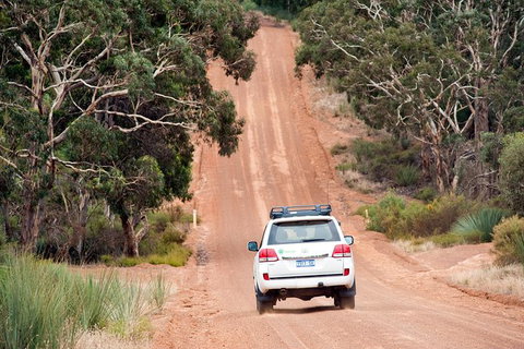 Small-Group Kangaroo Island 4WD Tour From Adelaide - Australia Accommodation 7