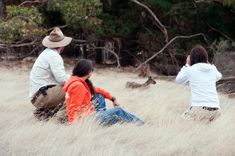 Small-Group Kangaroo Island 4WD Tour From Adelaide - Australia Accommodation 6