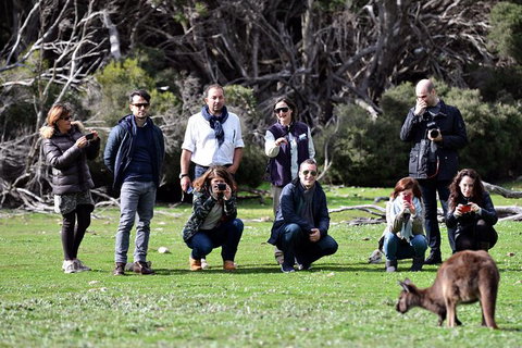 Small-Group Kangaroo Island 4WD Tour From Adelaide - Australia Accommodation 3