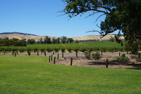 Barossa Valley With Hahndorf Tour From Adelaide - Australia Accommodation 3