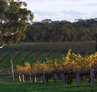 Barossa Valley with Hahndorf Tour from Adelaide - Australia Accommodation