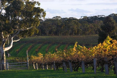 Barossa Valley With Hahndorf Tour From Adelaide - Australia Accommodation 0