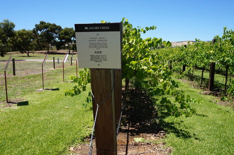 Barossa Valley With Hahndorf Tour From Adelaide - Australia Accommodation 5
