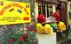 Adelaide Hills And Hahndorf Half-Day Tour From Adelaide - thumb 9