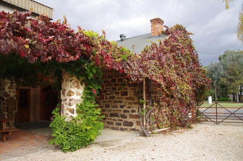 Barossa Valley Wineries Tour With Tastings And Lunch From Adelaide - Australia Accommodation 3
