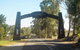 Barossa Valley Wineries Tour With Tastings And Lunch From Adelaide - thumb 12
