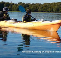 Adelaide Dolphin Sanctuary and Ships Graveyard Kayak Tour - Australia Accommodation