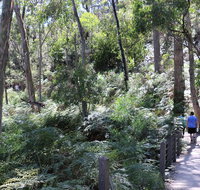 Self-Guided Waterfall Gully to Mount Lofty Hike from Adelaide - Australia Accommodation