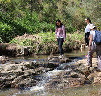 Small Group Bush Walk  BBQ with Wine Day Trip from Adelaide - Australia Accommodation