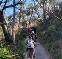 Mount Lofty Hike and Cleland Wildlife Park Day Trip from Adelaide - Australia Accommodation