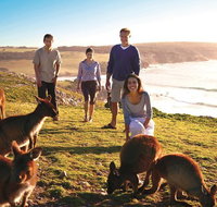 5-Day Adelaide and Kangaroo Island Tour Including Barossa Valley Wine Tasting - Australia Accommodation