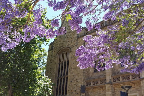 Cultural Caper Adelaide Walking Tour - Australia Accommodation 7