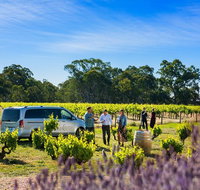 Micro-Group Barossa Valley Wine Tour from Adelaide - Australia Accommodation