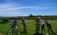 McLaren Vale Wine Tour By Bike - thumb 1