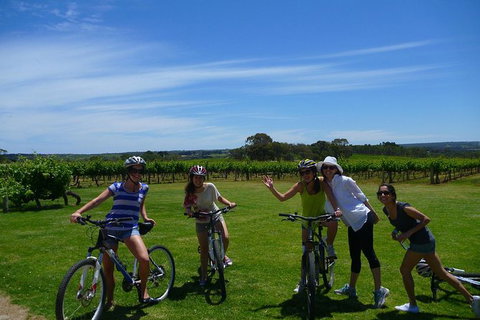 McLaren Vale Wine Tour By Bike - Australia Accommodation 1