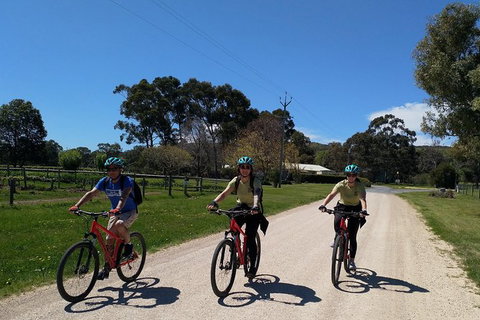 McLaren Vale Wine Tour By Bike - Australia Accommodation 8