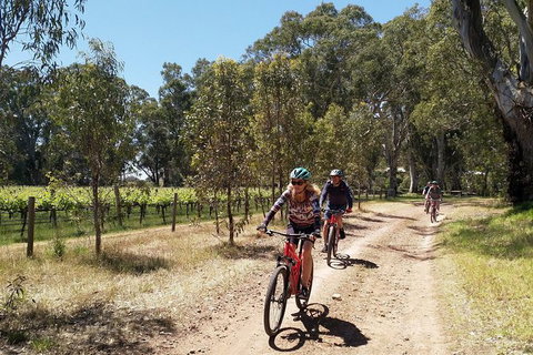 McLaren Vale Wine Tour By Bike - Australia Accommodation 11