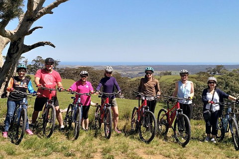 McLaren Vale Wine Tour By Bike - Australia Accommodation 6
