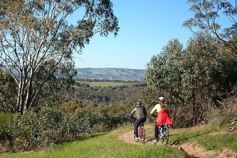McLaren Vale Wine Tour By Bike - Australia Accommodation 13