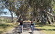 McLaren Vale Wine Tour By Bike - thumb 14
