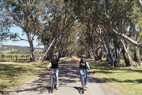 McLaren Vale Wine Tour By Bike - Australia Accommodation 14