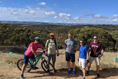 McLaren Vale Wine Tour By Bike - Australia Accommodation 3