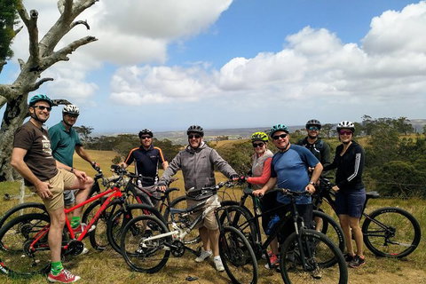 McLaren Vale Wine Tour By Bike - Australia Accommodation 7