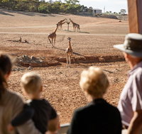 Monarto Safari Park General Admission Ticket - Australia Accommodation