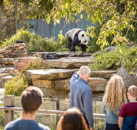 Adelaide Zoo Behind the Scenes Experience Panda and Friends Tour - Australia Accommodation