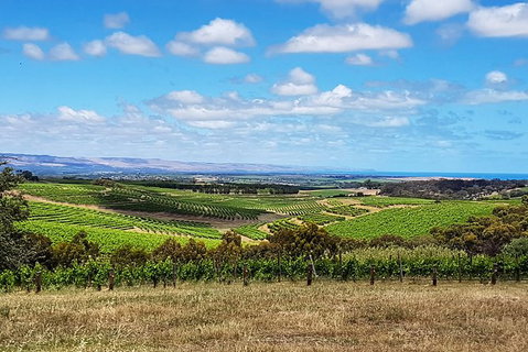 Micro-Group McLaren Vale Wine Tour From Adelaide - Australia Accommodation 4
