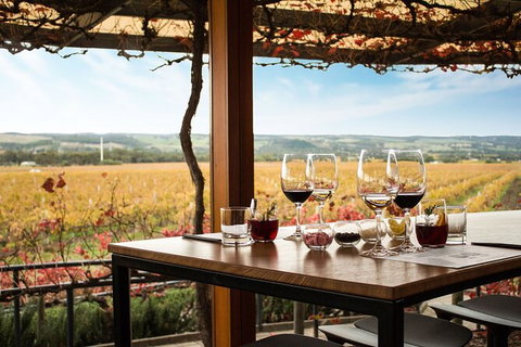 Micro-Group McLaren Vale Wine Tour From Adelaide - Australia Accommodation 2