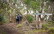 2-Day Kangaroo Island 4WD Small-Group Tour From Adelaide - thumb 3