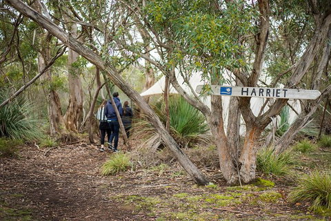 2-Day Kangaroo Island 4WD Small-Group Tour From Adelaide - Australia Accommodation 3