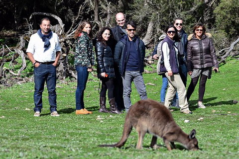 2-Day Kangaroo Island 4WD Small-Group Tour From Adelaide - Australia Accommodation 8