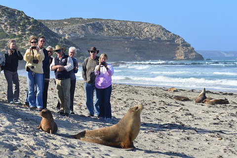 2-Day Kangaroo Island 4WD Small-Group Tour From Adelaide - Australia Accommodation 5