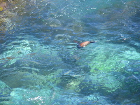 2-Day Kangaroo Island Adventure Tour From Adelaide - Australia Accommodation 9